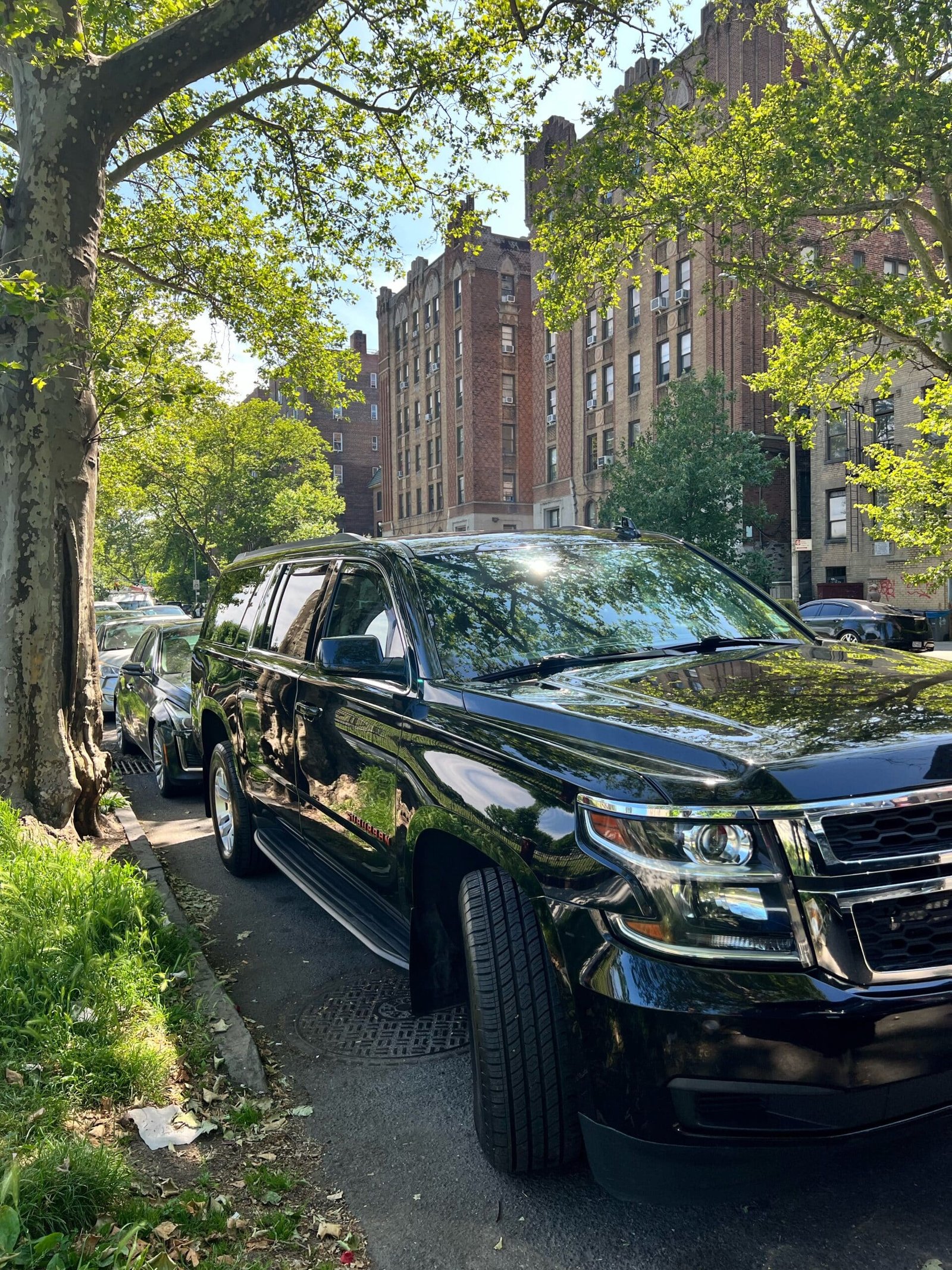 Summit Premier Limo professional chauffeur assisting a passenger